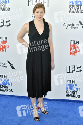 Film Independent Spirit Awards 2017 in Santa Monica