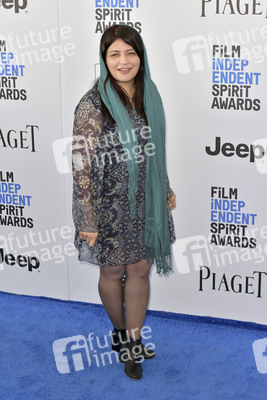 Film Independent Spirit Awards 2017 in Santa Monica