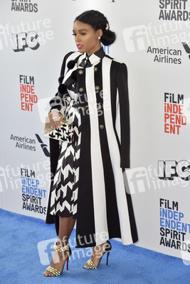 Film Independent Spirit Awards 2017 in Santa Monica