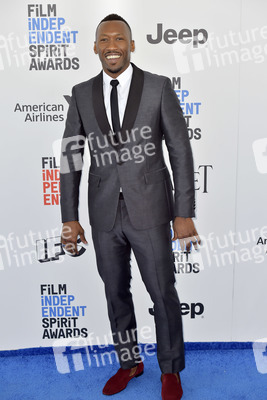 Film Independent Spirit Awards 2017 in Santa Monica