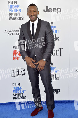 Film Independent Spirit Awards 2017 in Santa Monica