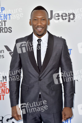 Film Independent Spirit Awards 2017 in Santa Monica
