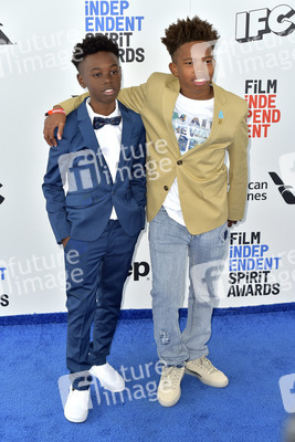 Film Independent Spirit Awards 2017 in Santa Monica