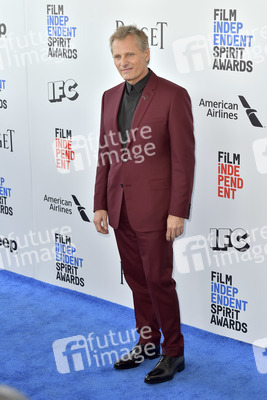 Film Independent Spirit Awards 2017 in Santa Monica
