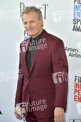 Film Independent Spirit Awards 2017 in Santa Monica