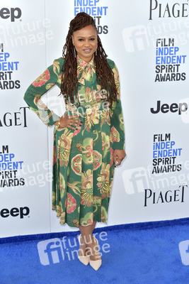 Film Independent Spirit Awards 2017 in Santa Monica