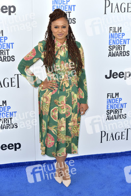 Film Independent Spirit Awards 2017 in Santa Monica