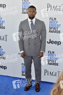 Film Independent Spirit Awards 2017 in Santa Monica