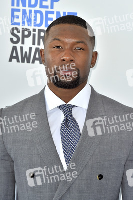 Film Independent Spirit Awards 2017 in Santa Monica