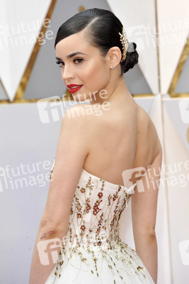 Oscar Verleihung 2017 in Los Angeles