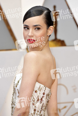 Oscar Verleihung 2017 in Los Angeles