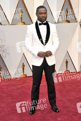 Oscar Verleihung 2017 in Los Angeles