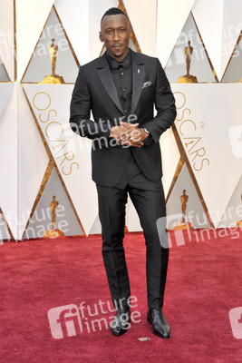 Oscar Verleihung 2017 in Los Angeles
