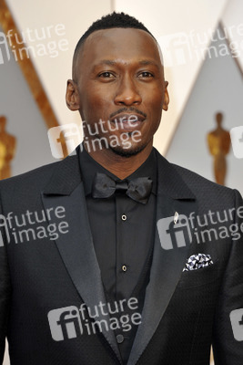 Oscar Verleihung 2017 in Los Angeles