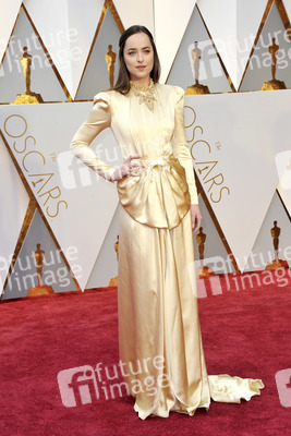 Oscar Verleihung 2017 in Los Angeles