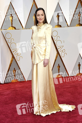 Oscar Verleihung 2017 in Los Angeles