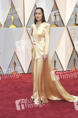 Oscar Verleihung 2017 in Los Angeles