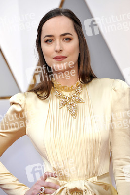 Oscar Verleihung 2017 in Los Angeles