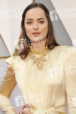 Oscar Verleihung 2017 in Los Angeles