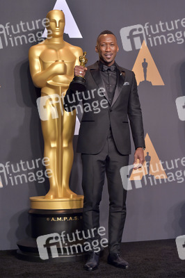 Oscar Verleihung 2017 in Los Angeles
