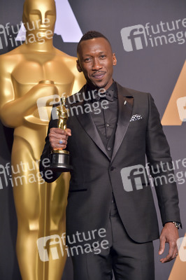 Oscar Verleihung 2017 in Los Angeles