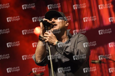 Konzert von Fury in the Slaughterhouse in Hannover