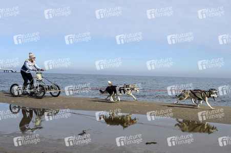 Baltic Lights 2017 auf Usedom