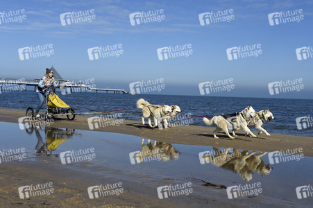 Baltic Lights 2017 auf Usedom