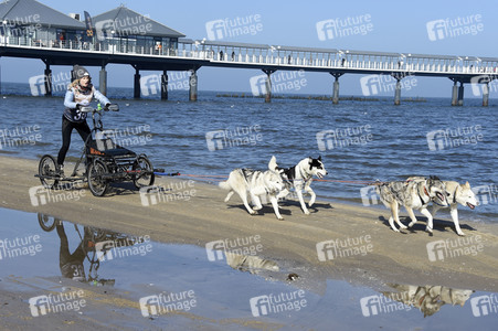 Baltic Lights 2017 auf Usedom