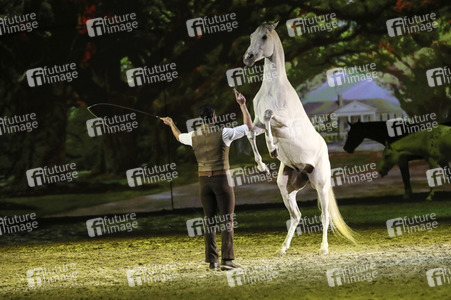 Pferdeshow 'Apassionata - Cinema of Dreams'