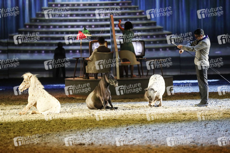 Pferdeshow 'Apassionata - Cinema of Dreams'