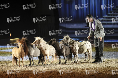 Pferdeshow 'Apassionata - Cinema of Dreams'