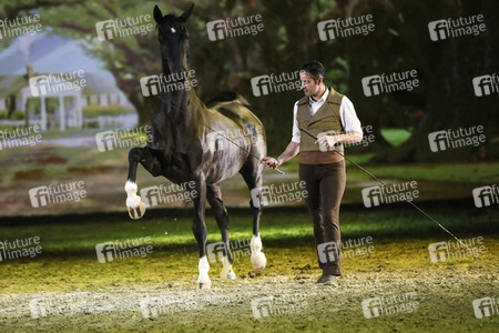Pferdeshow 'Apassionata - Cinema of Dreams'