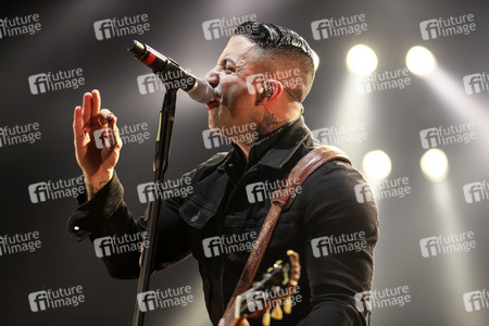 Konzert der Broilers in Erfurt