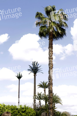 Sightseeing Marrakesch