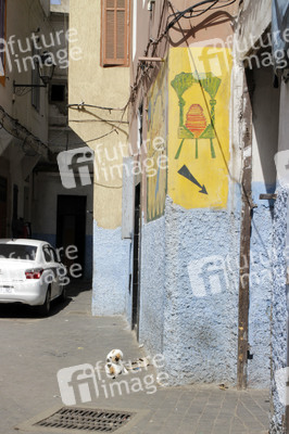 Sightseeing Casablanca