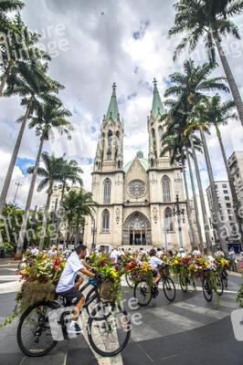 Flower Messenger in Sao Paulo