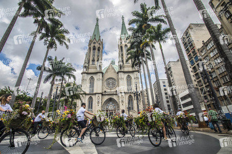 Flower Messenger in Sao Paulo