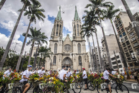 Flower Messenger in Sao Paulo