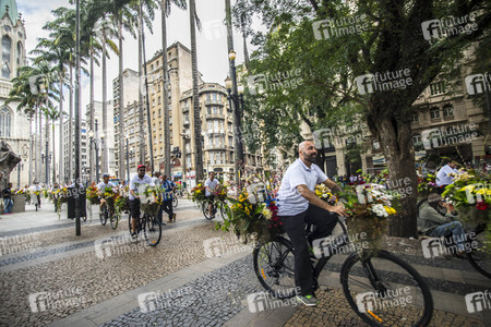 Flower Messenger in Sao Paulo