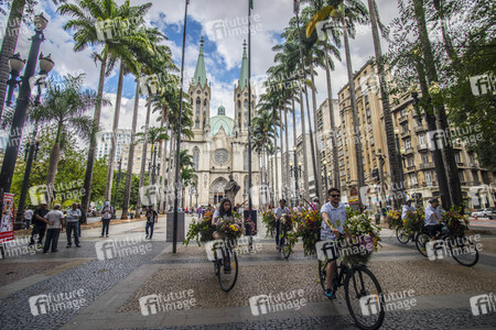 Flower Messenger in Sao Paulo