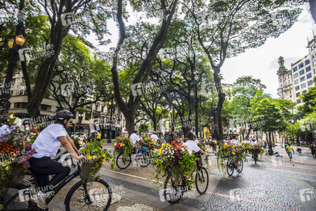 Flower Messenger in Sao Paulo