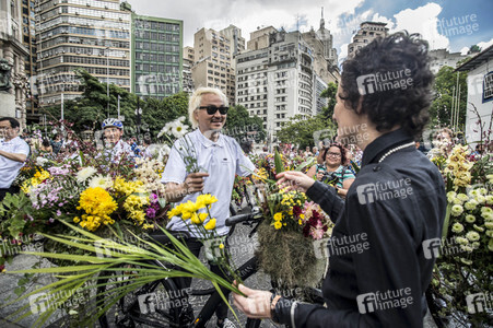 Flower Messenger in Sao Paulo