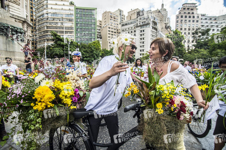 Flower Messenger in Sao Paulo