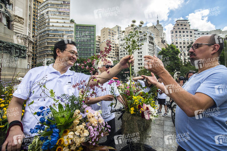 Flower Messenger in Sao Paulo