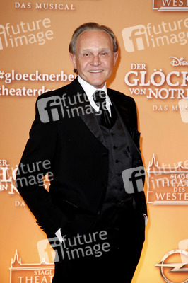 Musicalpremiere 'Der Glöckner von Notre Dame' in Berlin