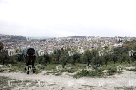 Sightseeing Fez