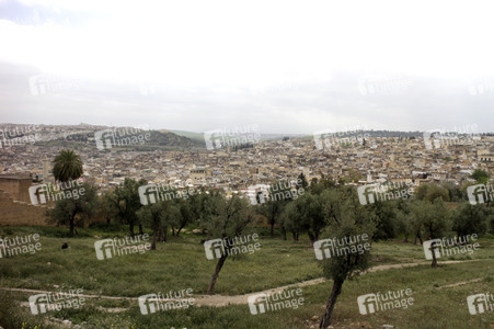 Sightseeing Fez