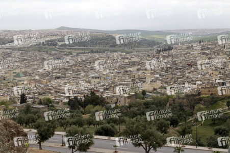 Sightseeing Fez