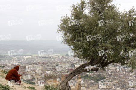 Sightseeing Fez